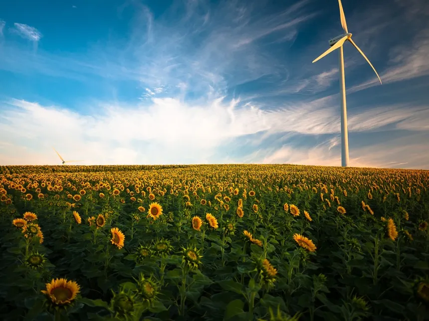 Navigating Towards Sustainability: The Rise of Clean Energy Investments